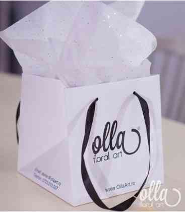Olla
