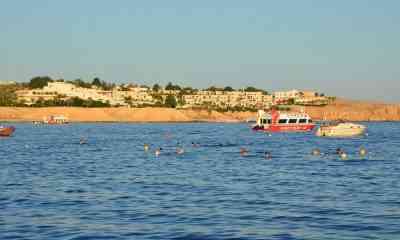 zboruri sharm el sheikh