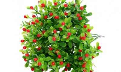 flori decorative