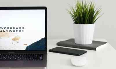 strategie de branding consta