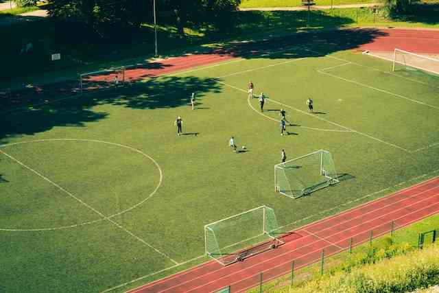 servicii terenuri sportive