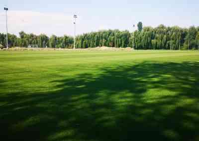 experienta in servicii terenuri sportive