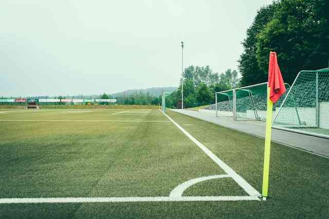 intretinere terenuri sportive