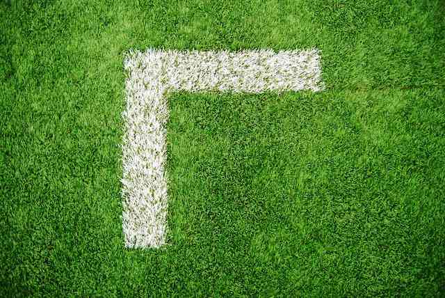 servicii terenuri sportive