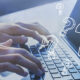 Baza de date cu firme online - informatii si caracteristici