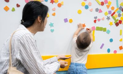 Cum poate fi folosita folia magnetica